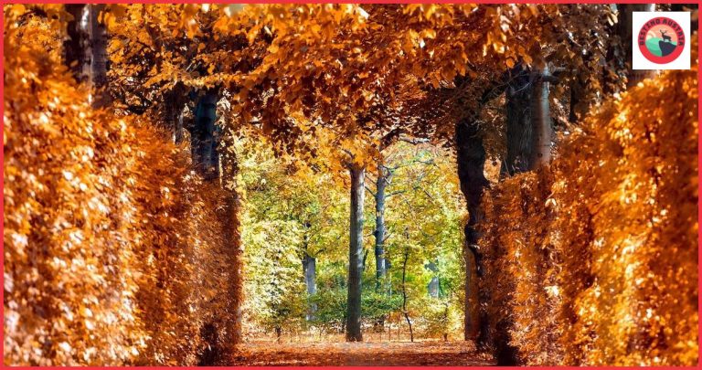 Cómo llegar de Viena a Bludenz