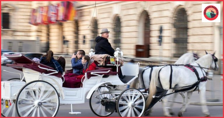 Cómo llegar de Viena a Krems an der Donau: La guía completa Cómo llegar de Viena a Krems an der Donau: La guía completa