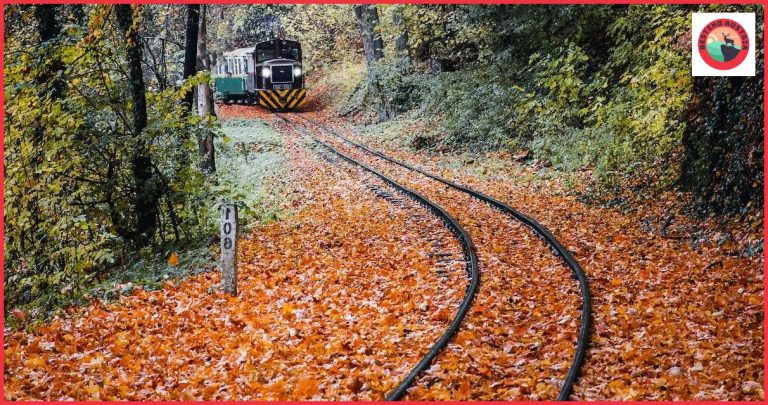 ¿Cómo llegar de Viena a Ternitz?