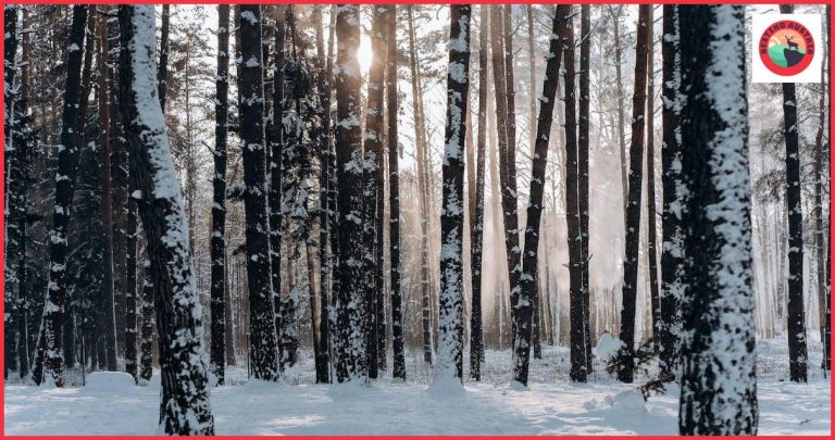 Descubre el Parque Nacional de Hohe Tauern: Tierra de Gigantes Fascinantes