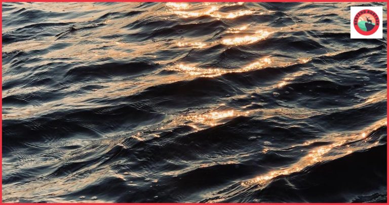 Descubre los atractivos de Saalfelden am Steinernen Meer