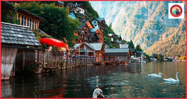 Ferrocarril de cremallera de Schafberg: Todo lo que necesitas saber sobre una excursión única en Austria Ferrocarril de cremallera de Schafberg: Todo lo que necesitas saber sobre una excursión única en Austria