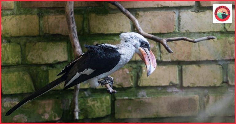 Guía de viaje a Krems an der Donau: Descubre lo mejor de esta ciudad austriaca