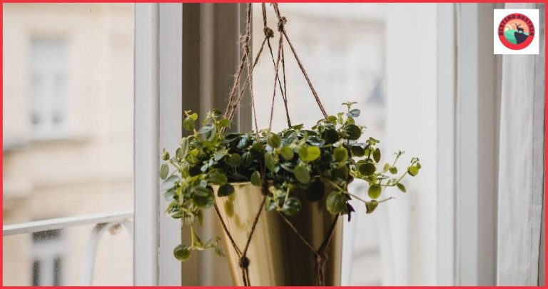 Qué visitar en Salzburgo: descubre sus joyas culturales y naturales