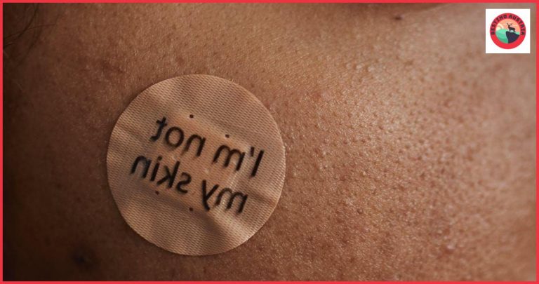 Qué visitar en Seekirchen am Wallersee: Descubre los mejores lugares de interés Qué visitar en Seekirchen am Wallersee: Descubre los mejores lugares de interés